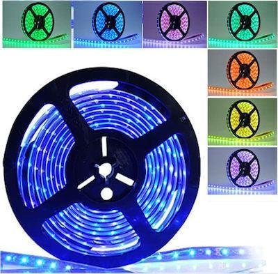 Αδιάβροχη Ταινία LED Τροφοδοσίας 24V RGB 60 LED ανά Μέτρο - Image 2