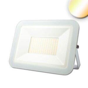 LED προβολέας 100W, λευκός, λευκός δυναμικός, καλώδιο 100cm